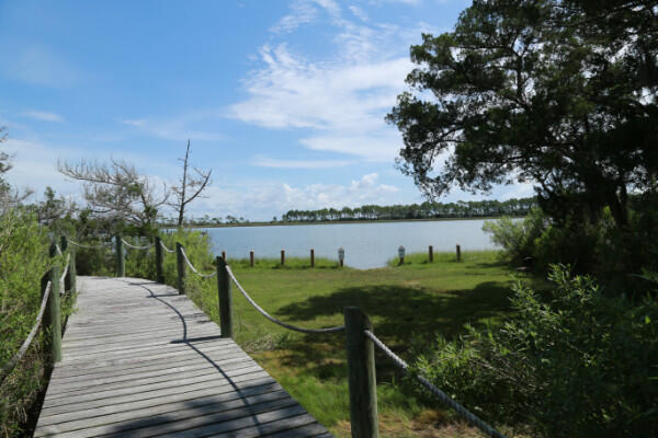 St George Plantation - Land