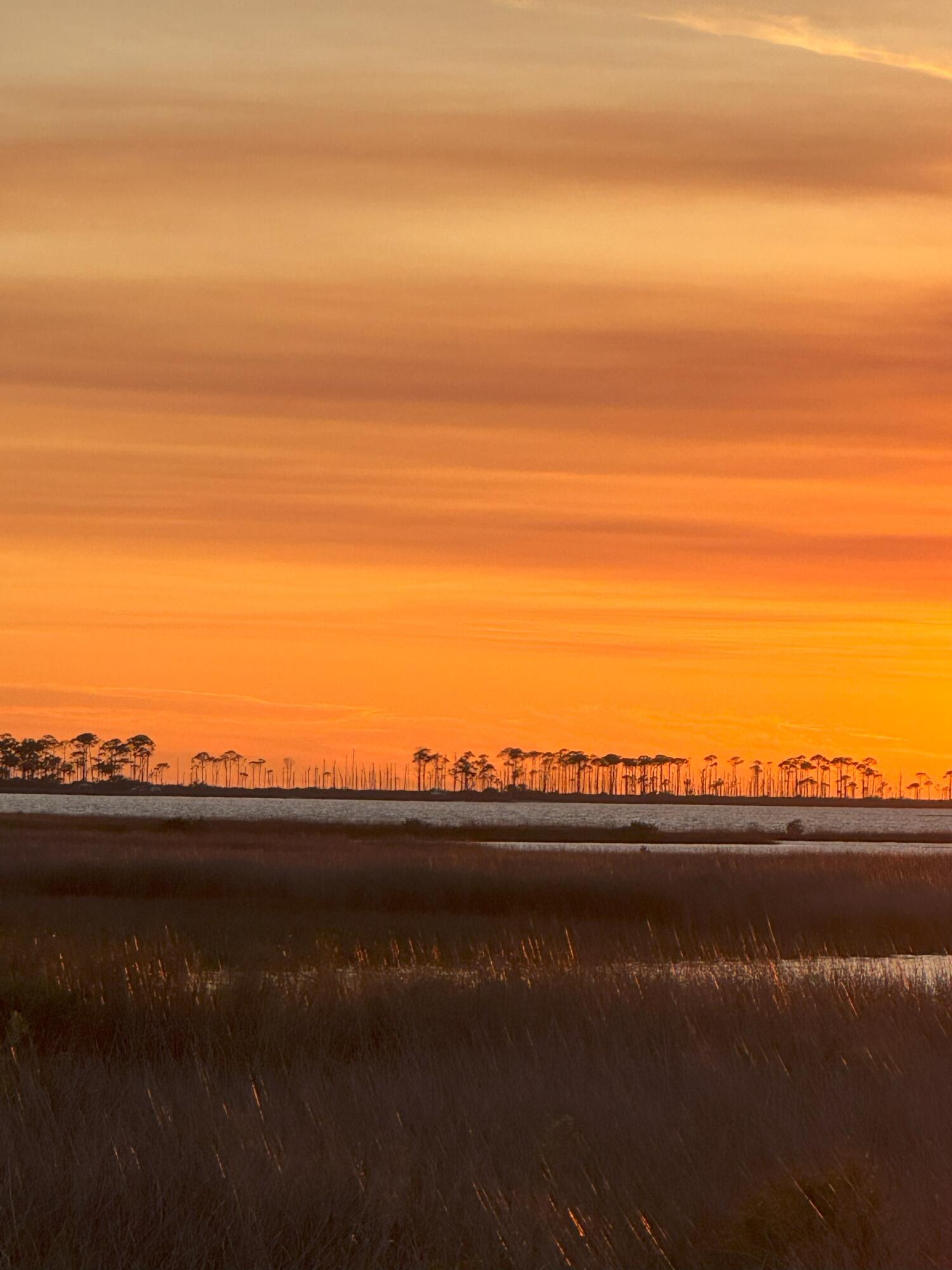 St George Plantation - Land