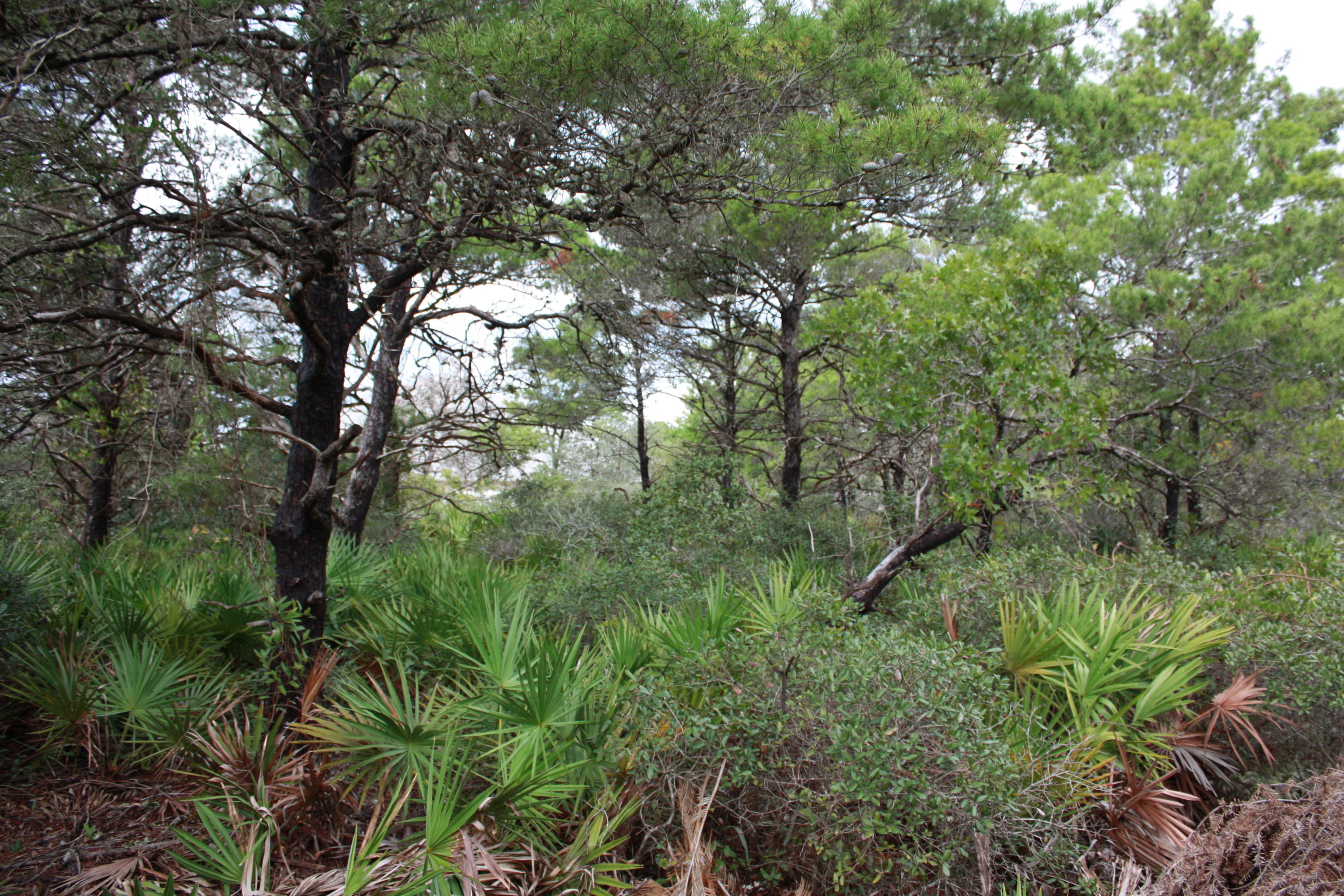 RIVIERA BEACH - Land