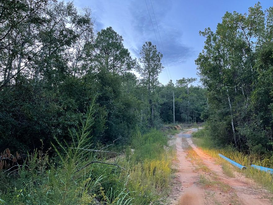 3.8+/- Ac of wooded land, Dont miss out on this great opportunity here!!!  Peaceful area! Great place to build your new home!County zoning is Agricultural,  Estimated 215 feet of Dear Head creek runs through a portion of the land. Refer to document section.