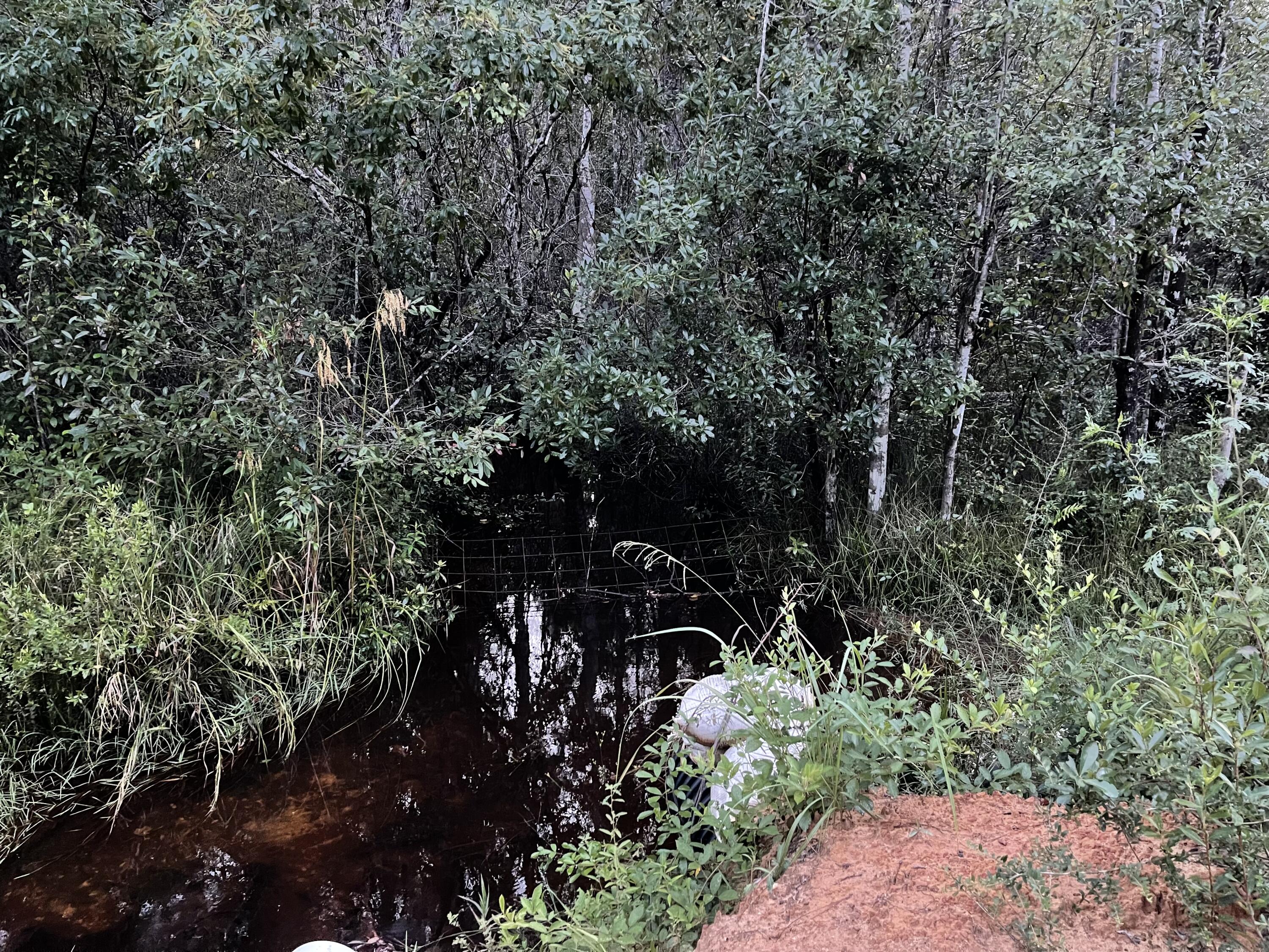 METES & BOUNDS - Farm