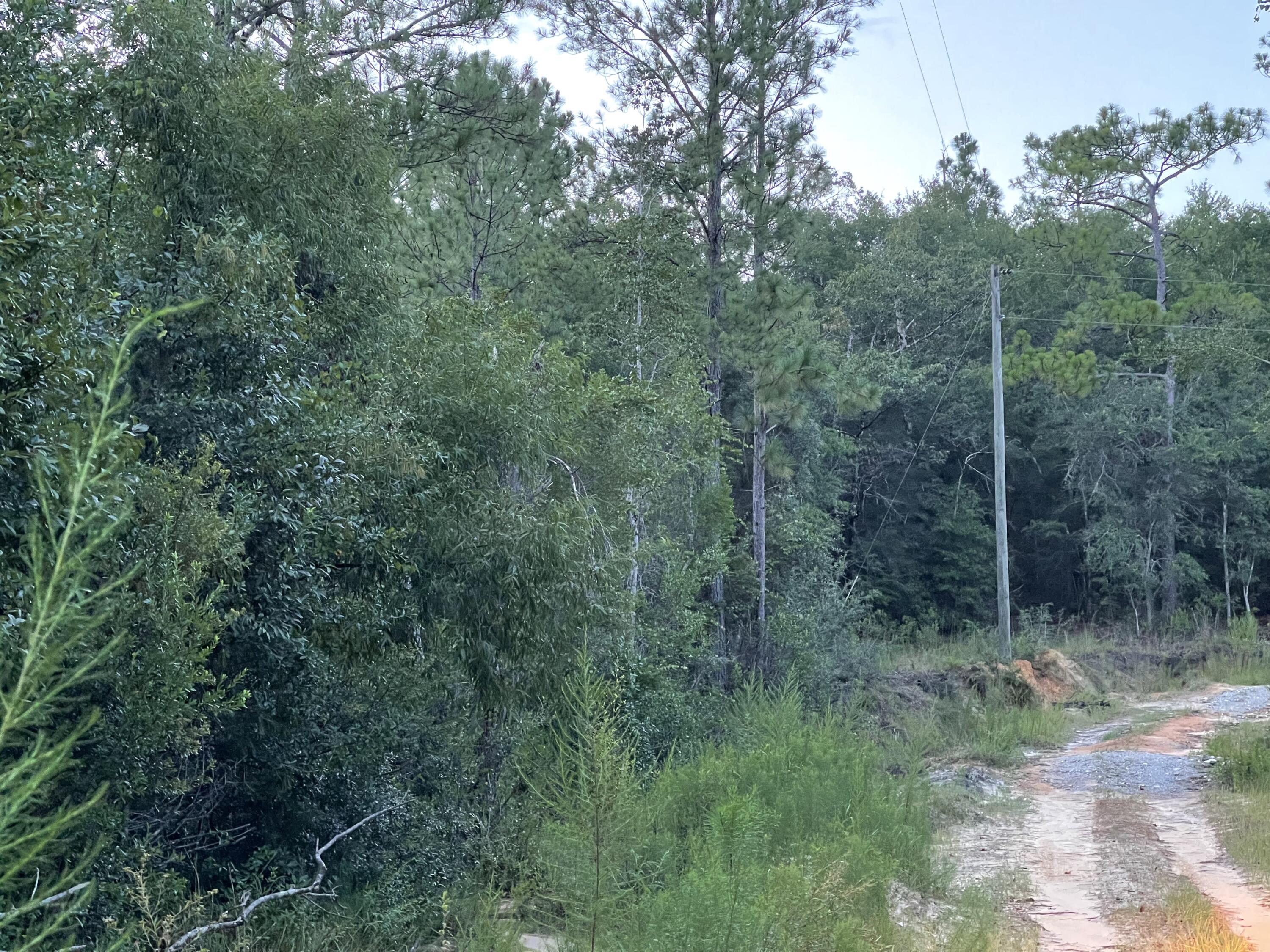 METES & BOUNDS - Farm