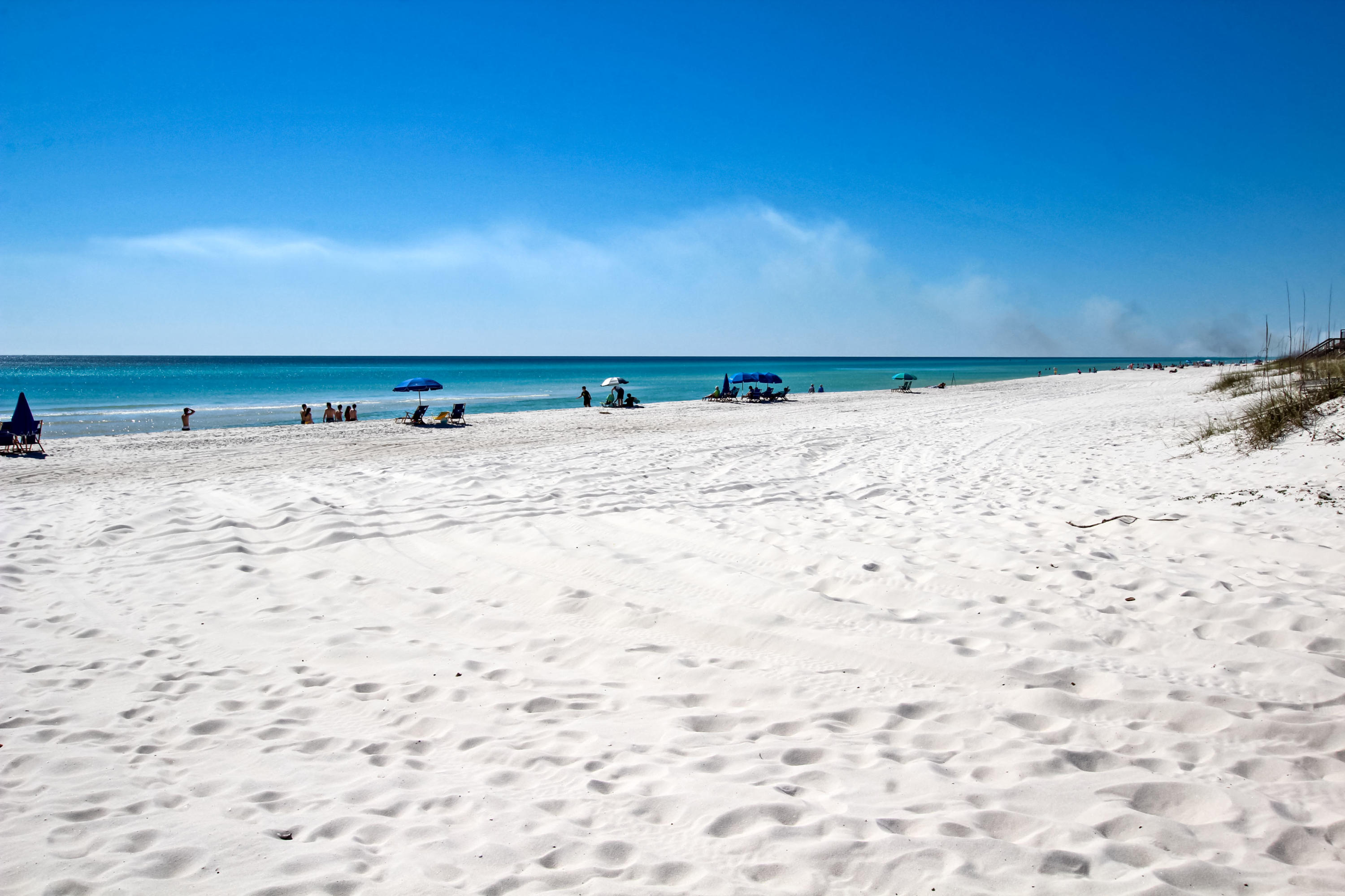 PINEWOOD PRESERVE - Residential