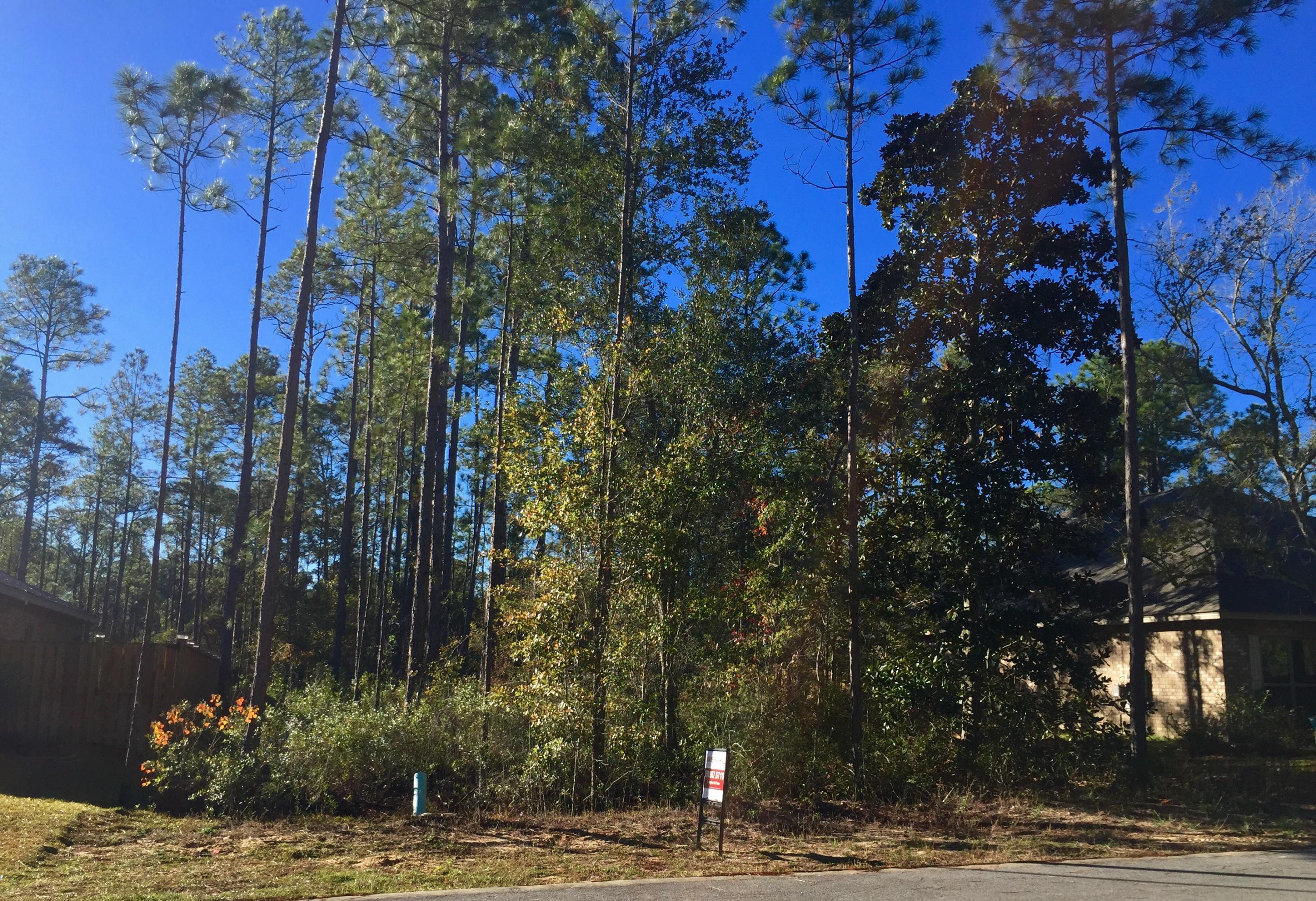 Have You Been Looking For The Perfect Lot To Build Your New Home? You'll Love This Residential Lot That's Nestled In Harstvedt Plantation! Conveniently Located Just A Short Walk Or Bike Ride Away From The Choctawhatchee Bay & Only Minutes From The Highly Sought After 30a! The Community Itself Is Comprised Of Homes In The Mid $200's To Low $300's & It's Just One Lot Away From A Spacious Common Area In The Community. With Low HOA Fees & Located In An 'X' Flood Zone, It's Easy To See Why This Is The Perfect Location For Your New Home! Call Today & Make Arrangements To See For Yourself All That This Amazing Home Site Has To Offer. As Always, Buyer to Verify Square Footage, Dimensions, HOA Fees & Dues.