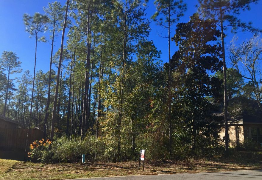 Have You Been Looking For The Perfect Lot To Build Your New Home? You'll Love This Residential Lot That's Nestled In Harstvedt Plantation! Conveniently Located Just A Short Walk Or Bike Ride Away From The Choctawhatchee Bay & Only Minutes From The Highly Sought After 30a! The Community Itself Is Comprised Of Homes In The Mid $200's To Low $300's & It's Just One Lot Away From A Spacious Common Area In The Community. With Low HOA Fees & Located In An 'X' Flood Zone, It's Easy To See Why This Is The Perfect Location For Your New Home! Call Today & Make Arrangements To See For Yourself All That This Amazing Home Site Has To Offer. As Always, Buyer to Verify Square Footage, Dimensions, HOA Fees & Dues.