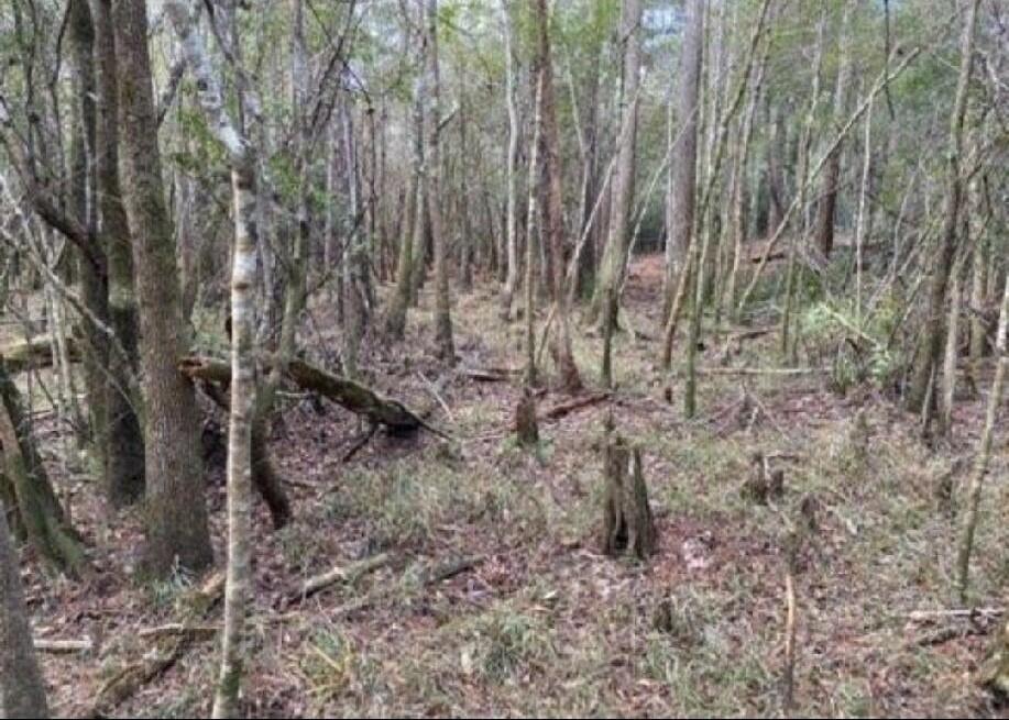 METES & BOUNDS - Land