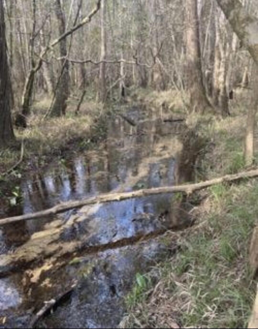 METES & BOUNDS - Land