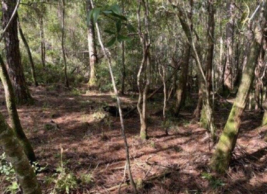 METES & BOUNDS - Land