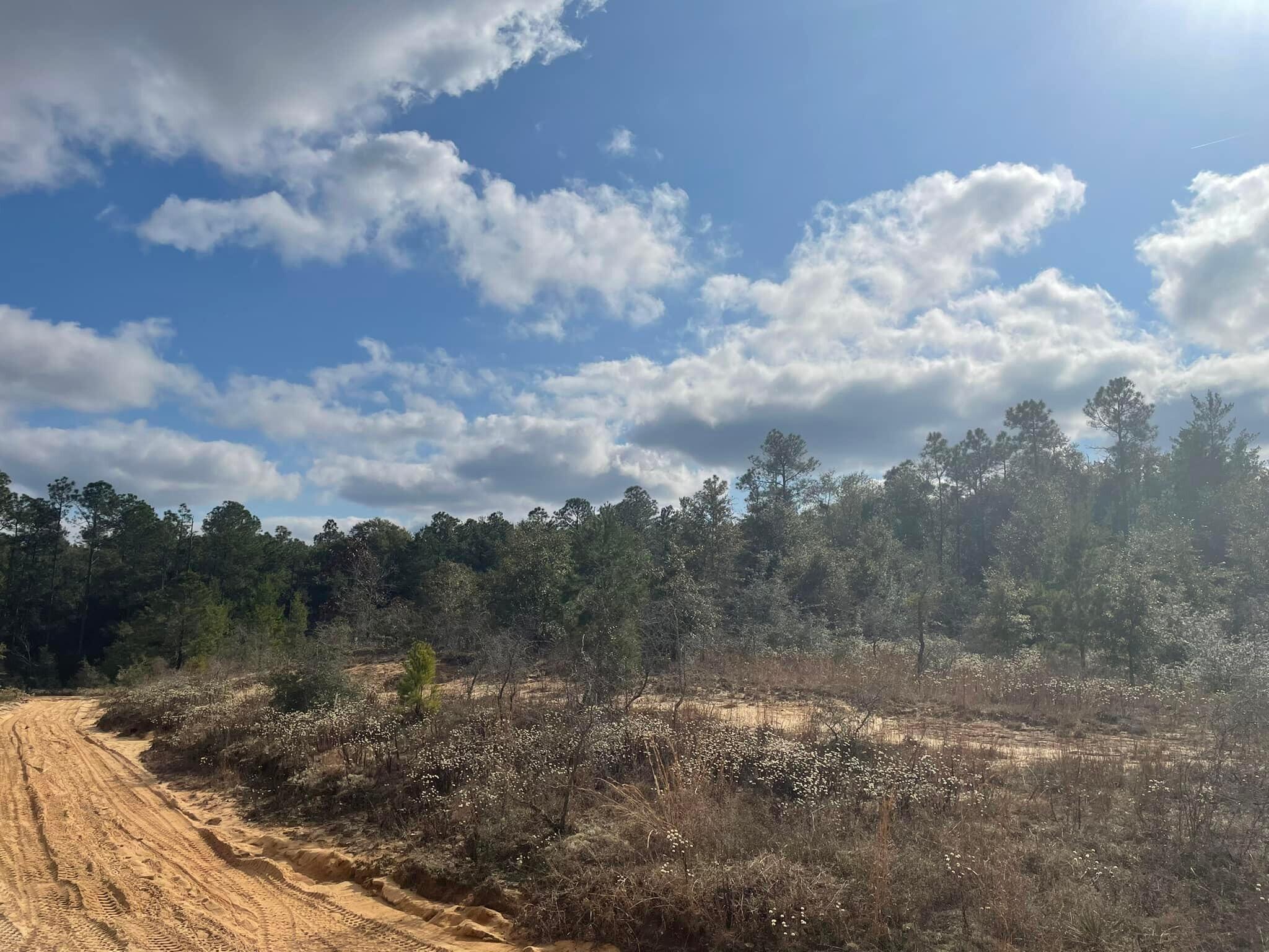 TRIPLE LAKES ESTATES - Land