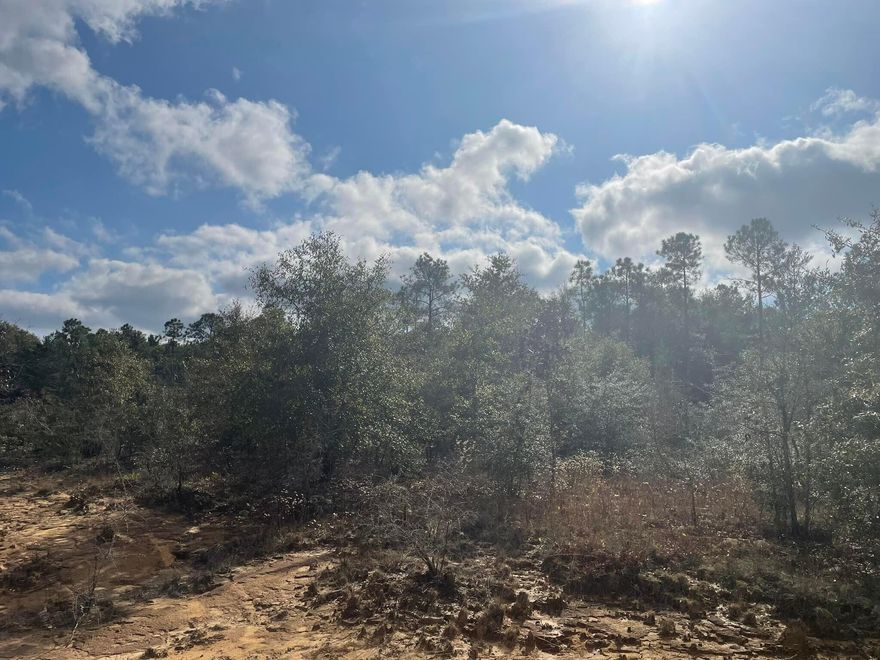 Flat quarter acre lot that is ready for you to build on or place your manufactured home on. Conveniently located between Crestview and the Co Rd 285 and Interstate 10 exit.