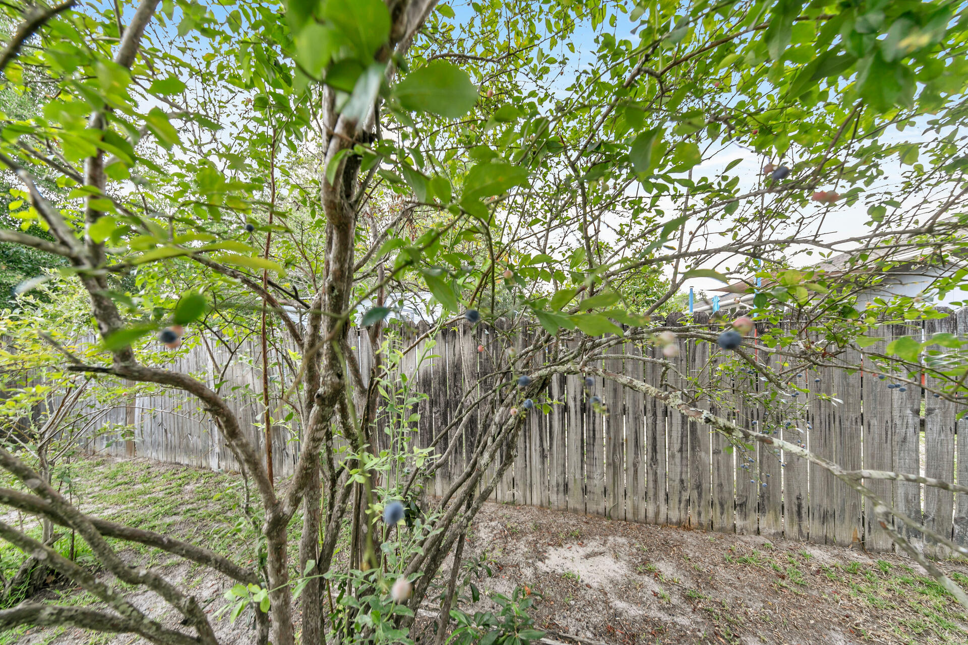 Woodland Phase II - Residential