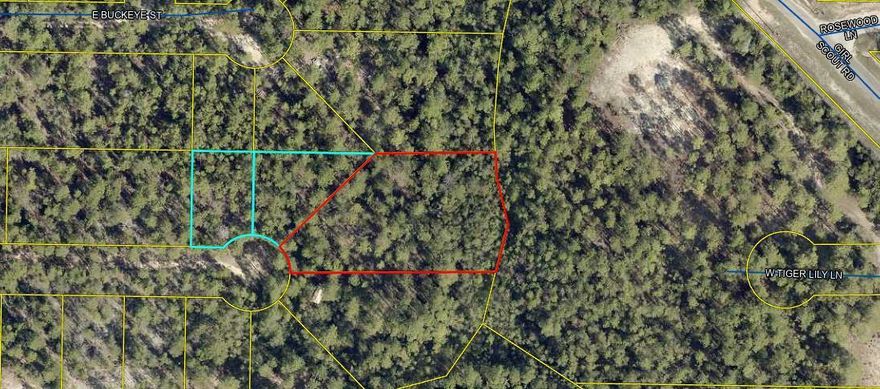 Area is currently under development with various builders.  Lot is wooded and mobile homes as well as site built are allowed. 2 additional lots are available, next to the listed one.  Nice home lots in this area.