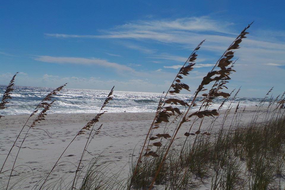 7561 White Sands Blvd, Navarre FL 32566 - Residential