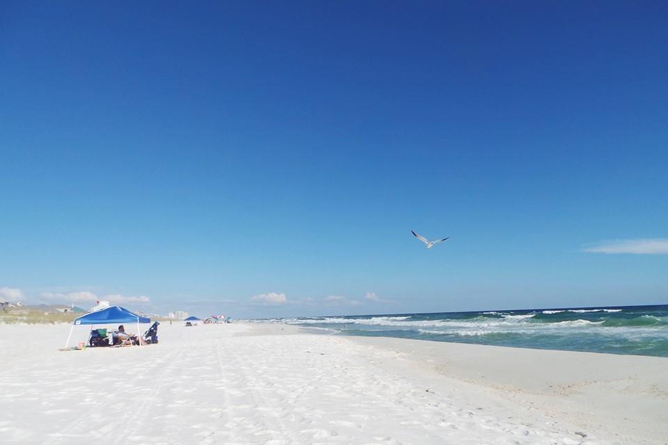 7561 White Sands Blvd, Navarre FL 32566 - Residential