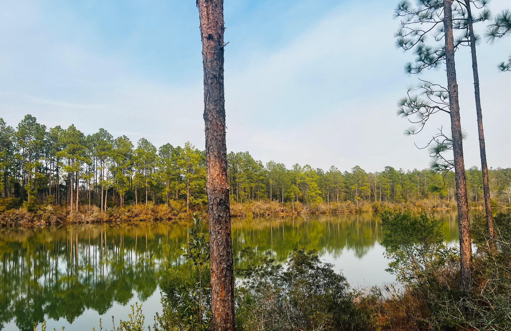 Nature Lake - Residential