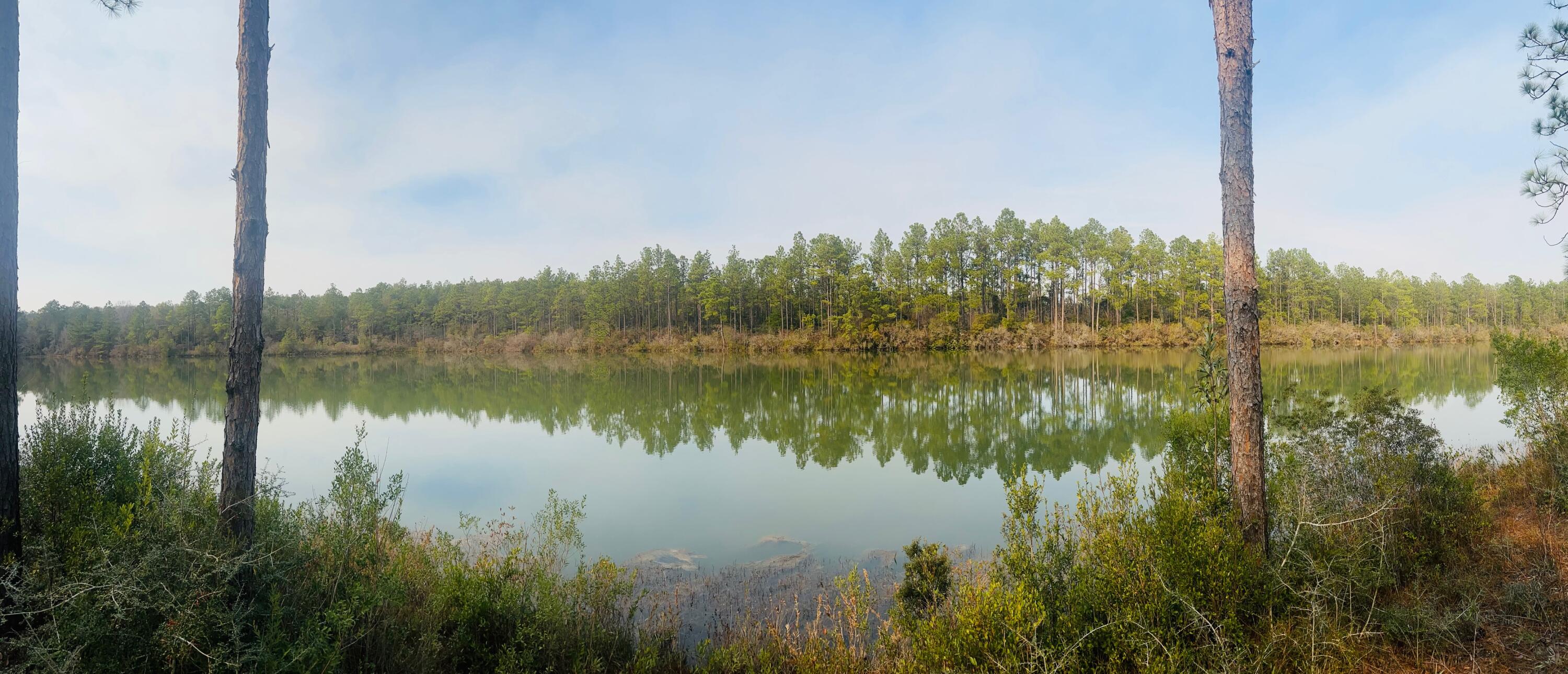 Nature Lake - Residential
