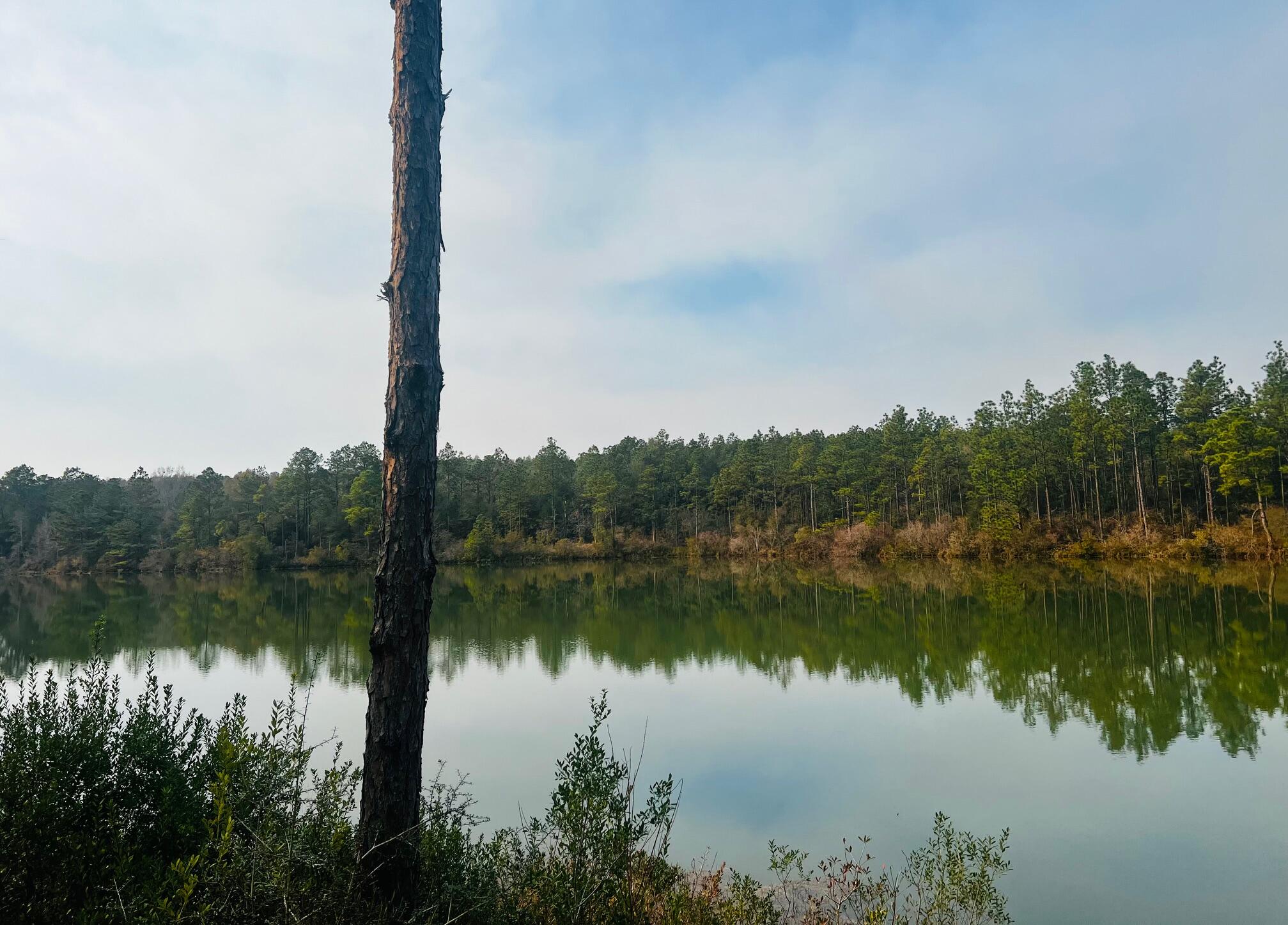 Nature Lake - Residential