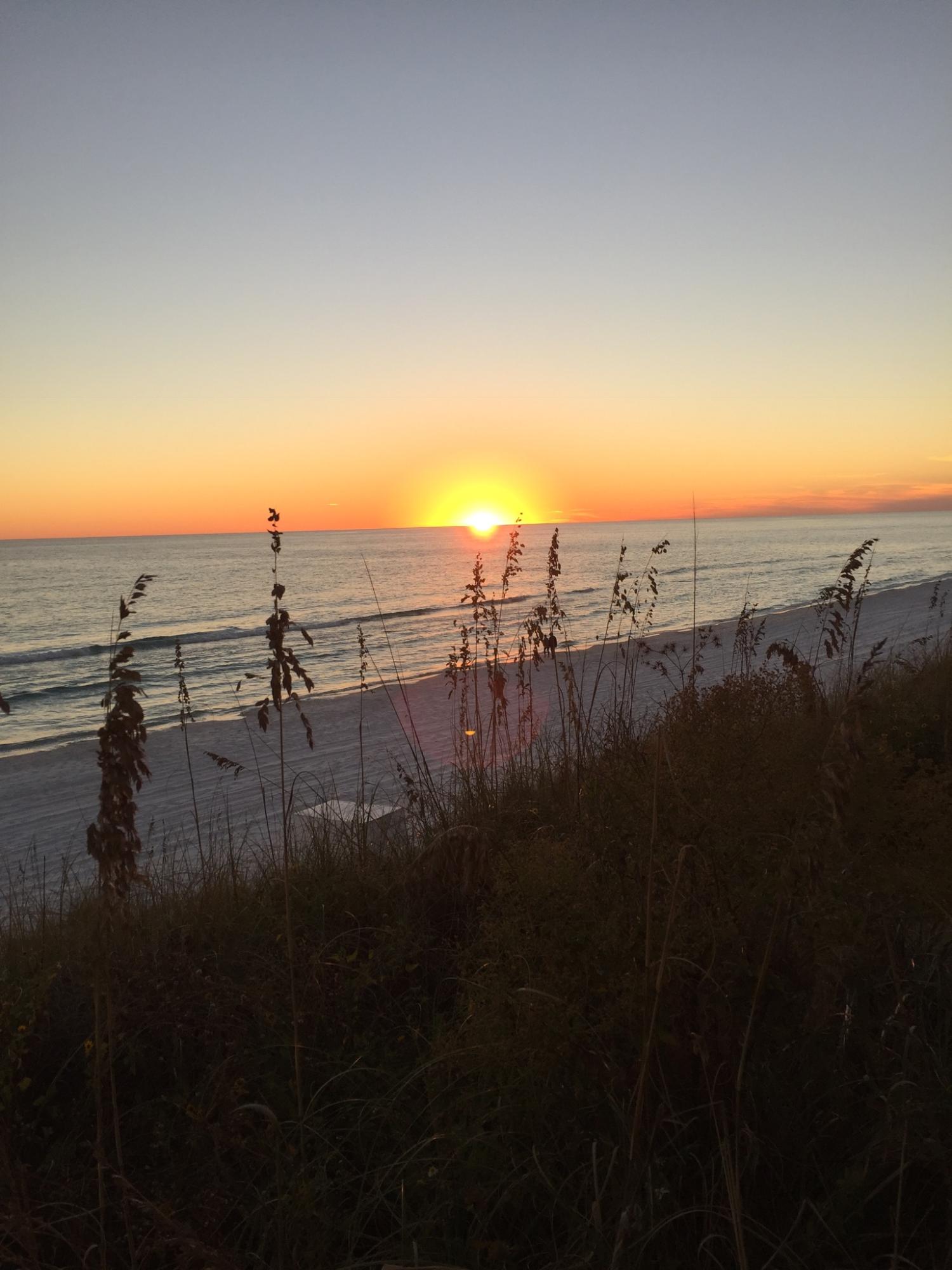 DAUGHETTES AMENDED - Land