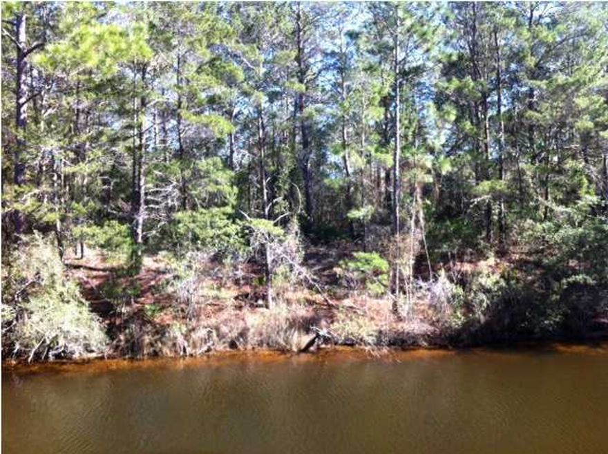 Canal front lot located in Daughettes Subdivision. Quarter of an acre, 75' x 150' with 75' on a maintained deepwater Canal. Excellent area for permanent homes in the South Walton Area. Close to schools, only 10 minutes to the beaches and short distance to restaurants and shopping.