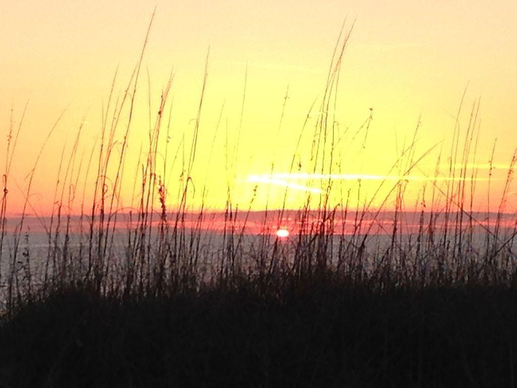 VISTA DEL MAR CONDO - Residential