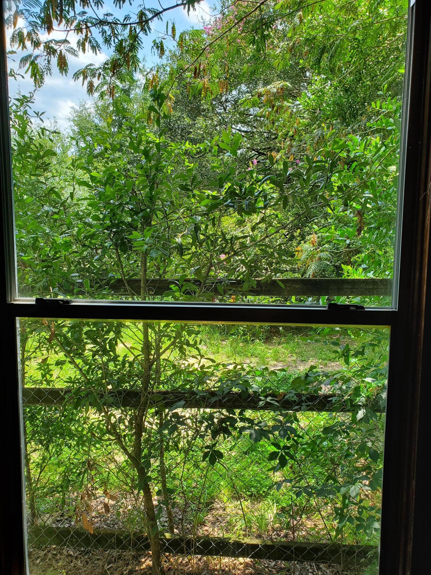 MORRIS ADDN TO CRESTVIEW - Residential