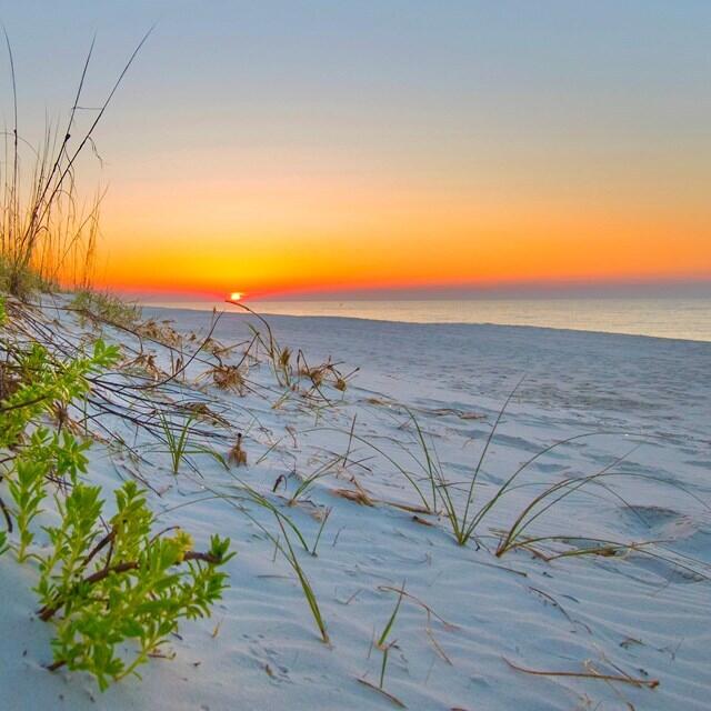 ***Rare Multi-Use Commercial Lot on Gulf Blvd - Navarre Beach*** A unique opportunity to own one of the few commercially zoned lots directly on Gulf Blvd in Navarre Beach. With NB-C zoning and a special variance allowing construction on a 26x75 ft footprint, this cleared corner parcel offers fantastic visibility right on Gulf Blvd. Multiple use possibilities--commercial or residential, single family or multifamily, right across from beach and sound access and just down from the Navarre Pier. No wetlands, no delays--just prime frontage in a high-traffic beach destination.
