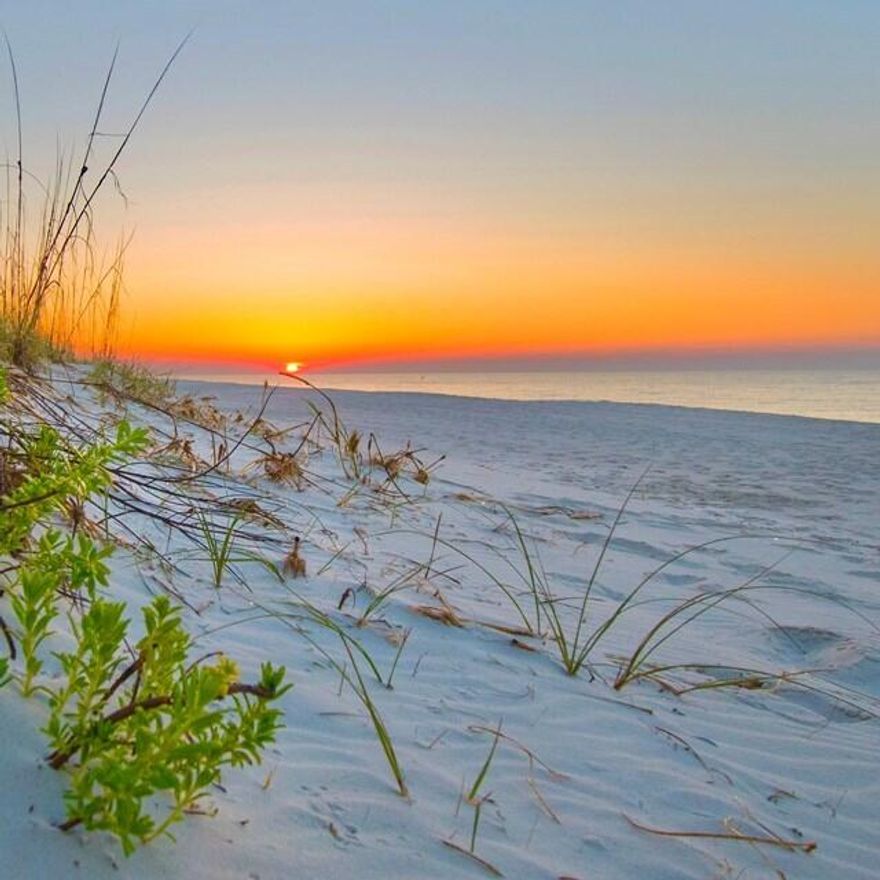 ***Rare Multi-Use Commercial Lot on Gulf Blvd - Navarre Beach*** A unique opportunity to own one of the few commercially zoned lots directly on Gulf Blvd in Navarre Beach. With NB-C zoning and a special variance allowing construction on a 26x75 ft footprint, this cleared corner parcel offers fantastic visibility right on Gulf Blvd. Multiple use possibilities--commercial or residential, single family or multifamily, right across from beach and sound access and just down from the Navarre Pier and a short walk to public beach access. No wetlands, no delays--just prime frontage in a high-traffic beach destination.