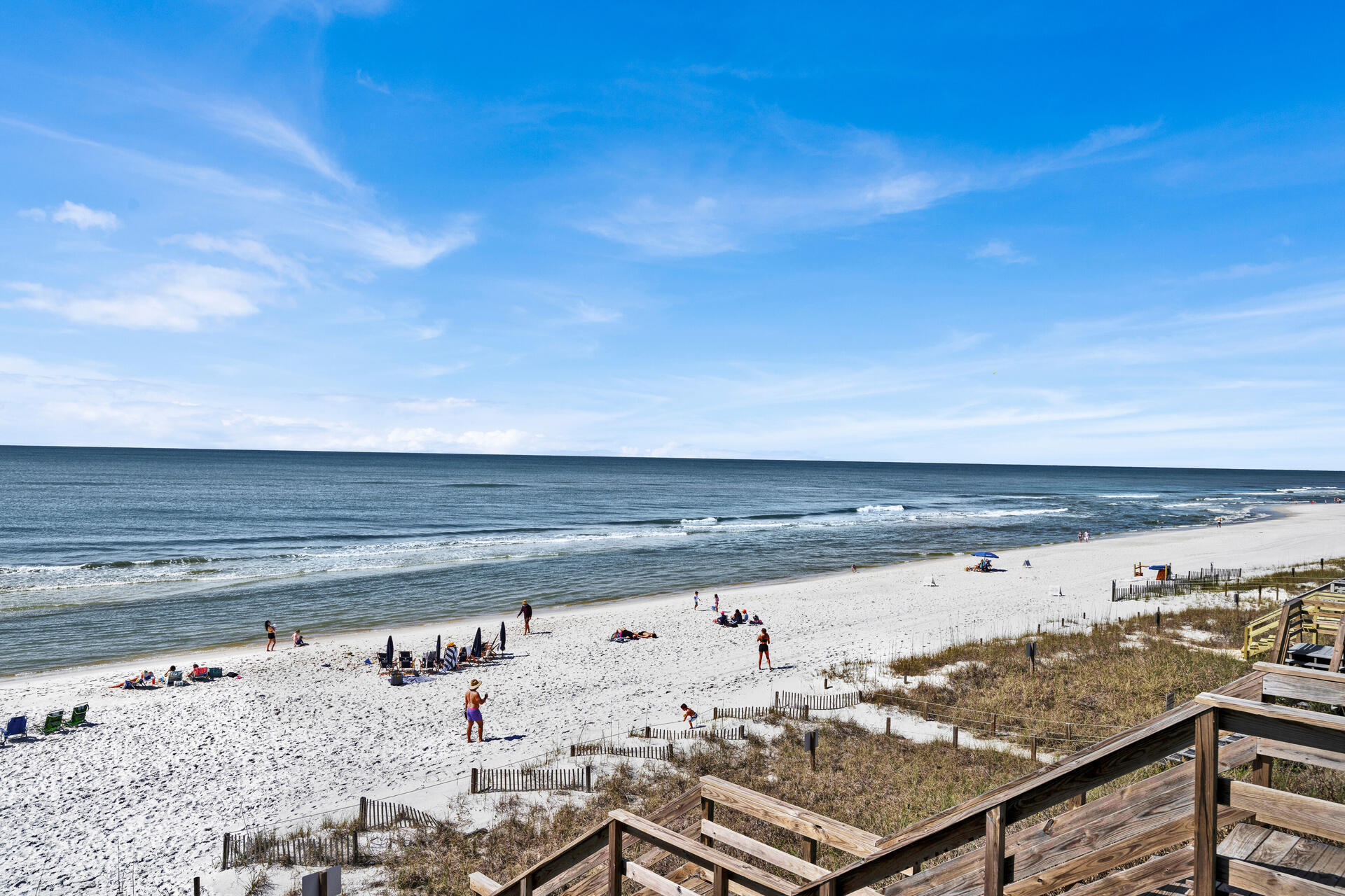 Dolphin Watch - Residential