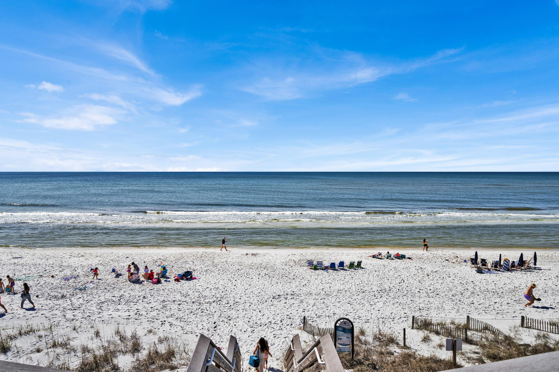 Dolphin Watch - Residential