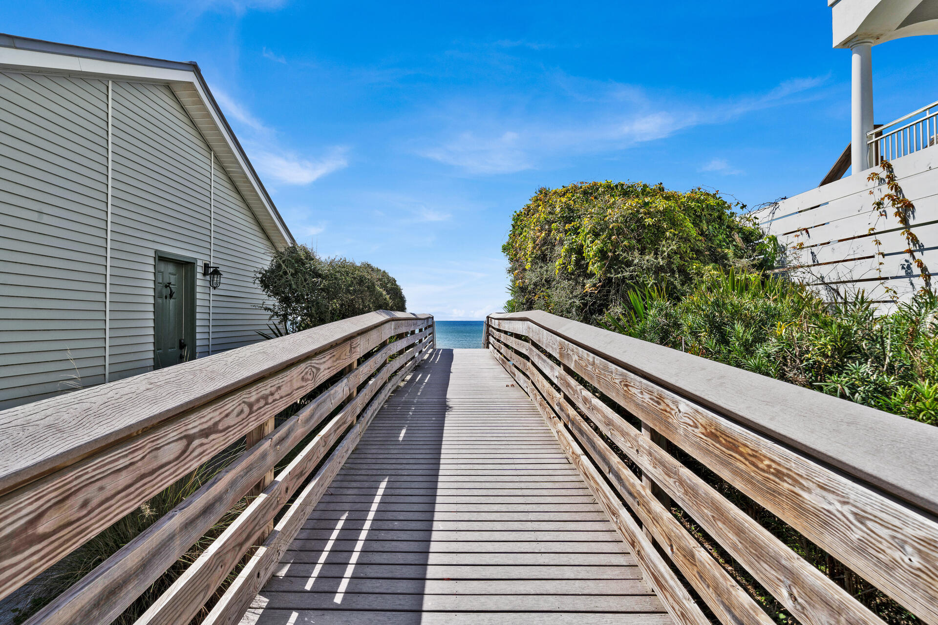 Dolphin Watch - Residential