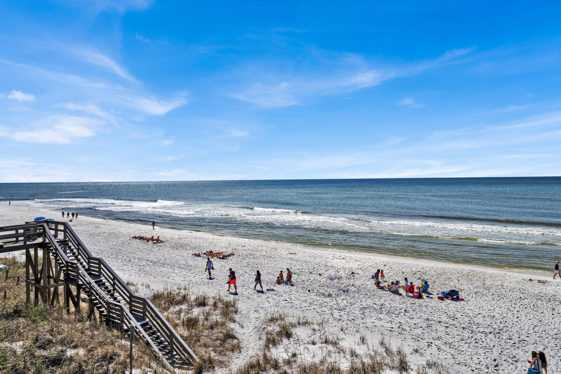 Dolphin Watch - Residential