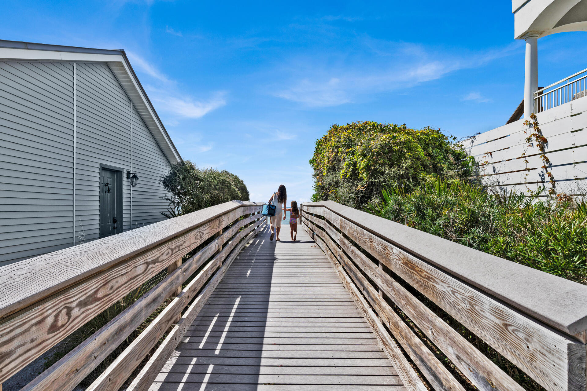 Dolphin Watch - Residential