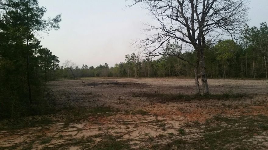 Ready for your dream home. Nice lot over 1 acre on a paved road close to town level and cleared with a new survey. Seller left a barrier tree buffer on the sides of the lot. Mobile homes allowed. No restrictions. Good neighborhood.