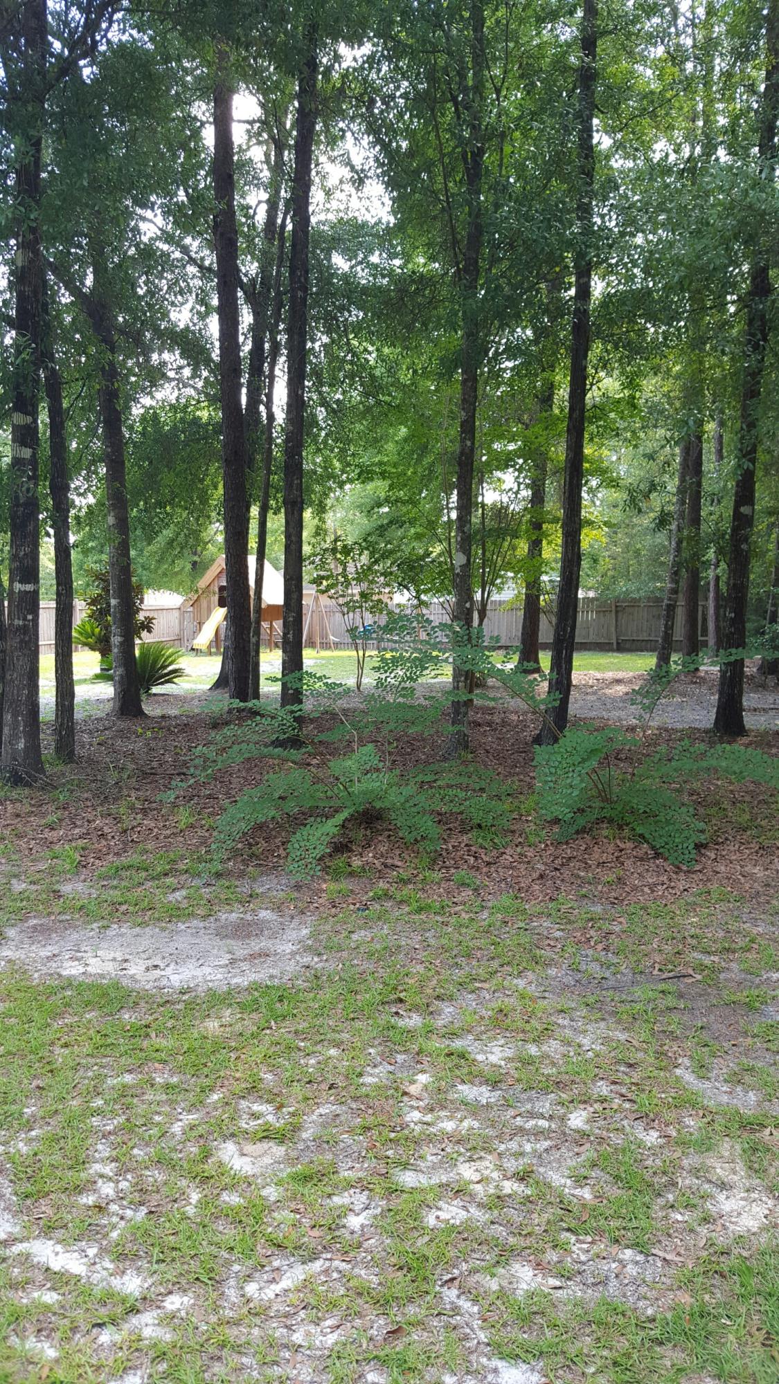 Hidden Springs PH 1 - Residential Lease
