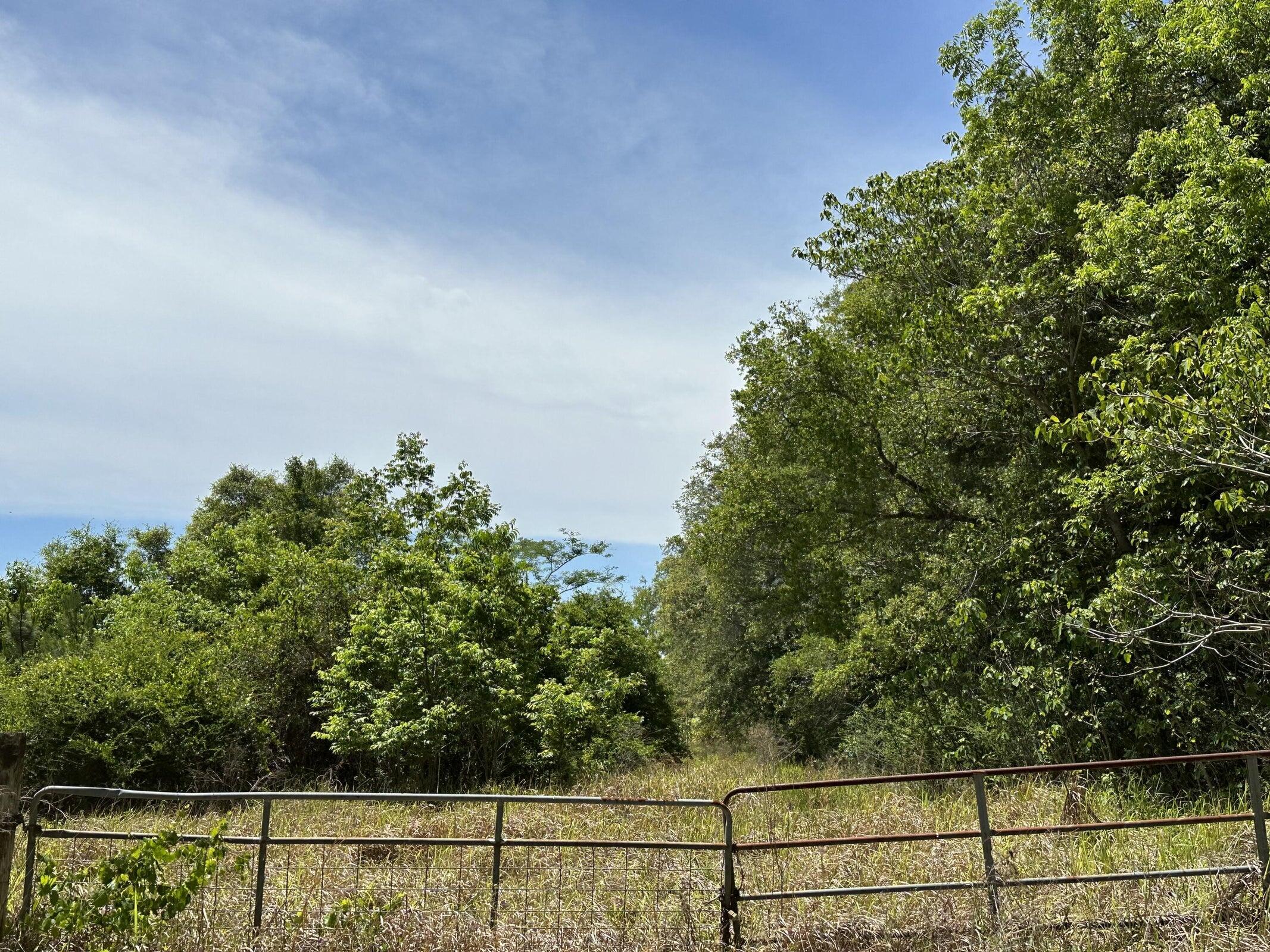 NO RECORDED SUBDIVISION - Land