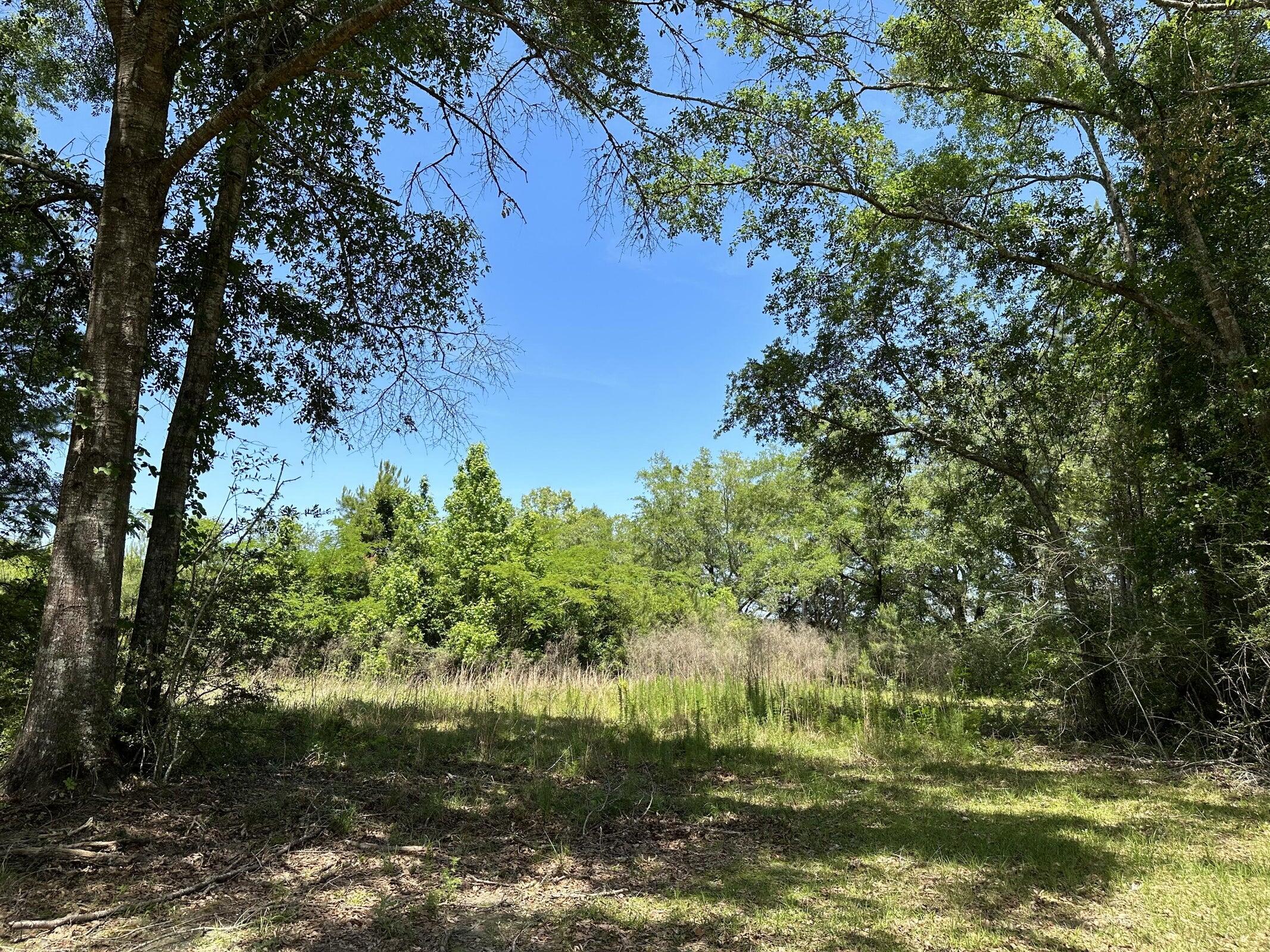 NO RECORDED SUBDIVISION - Land