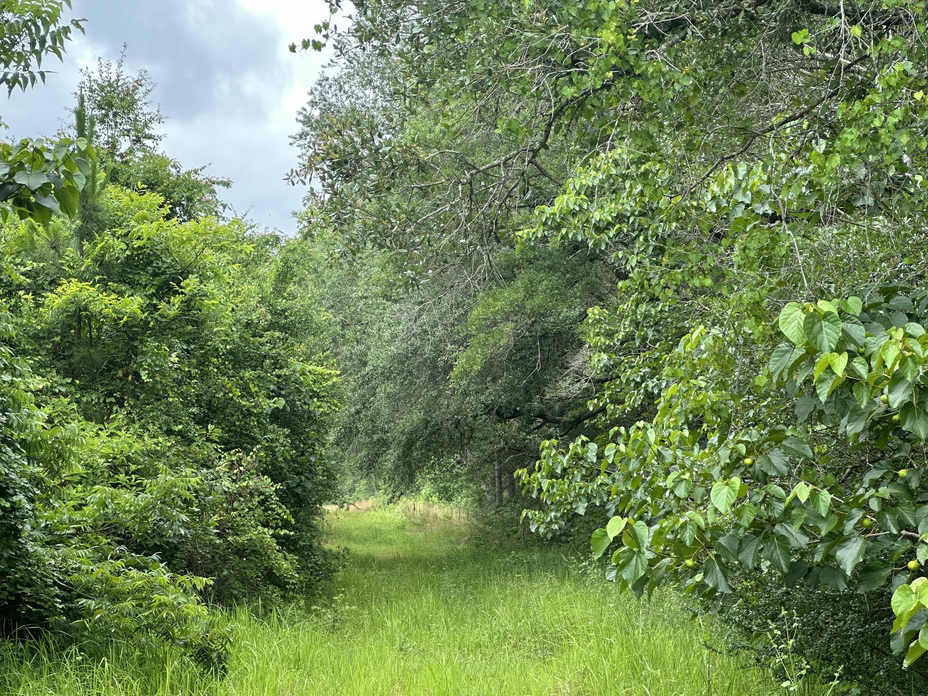 NO RECORDED SUBDIVISION - Land