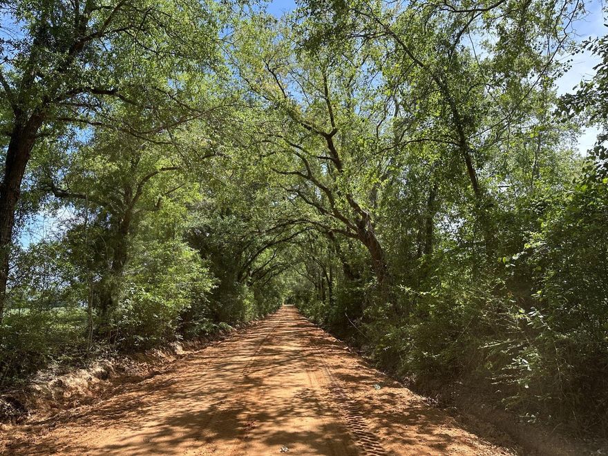 Tucked away on Frost Lane, this 92+/- acre parcel offers a peaceful setting with generous space and natural surroundings. The land features open areas and gentle terrain, making it well-suited for a variety of agricultural or residential uses. Located within reach of Hwy 2 and Hwy 85, with the Florida/Alabama state line just a short distance away, this property provides both seclusion and accessibility.