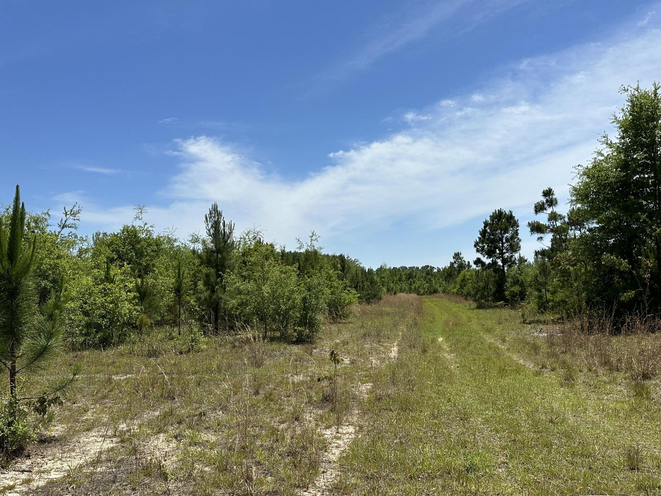 NO RECORDED SUBDIVISION - Land