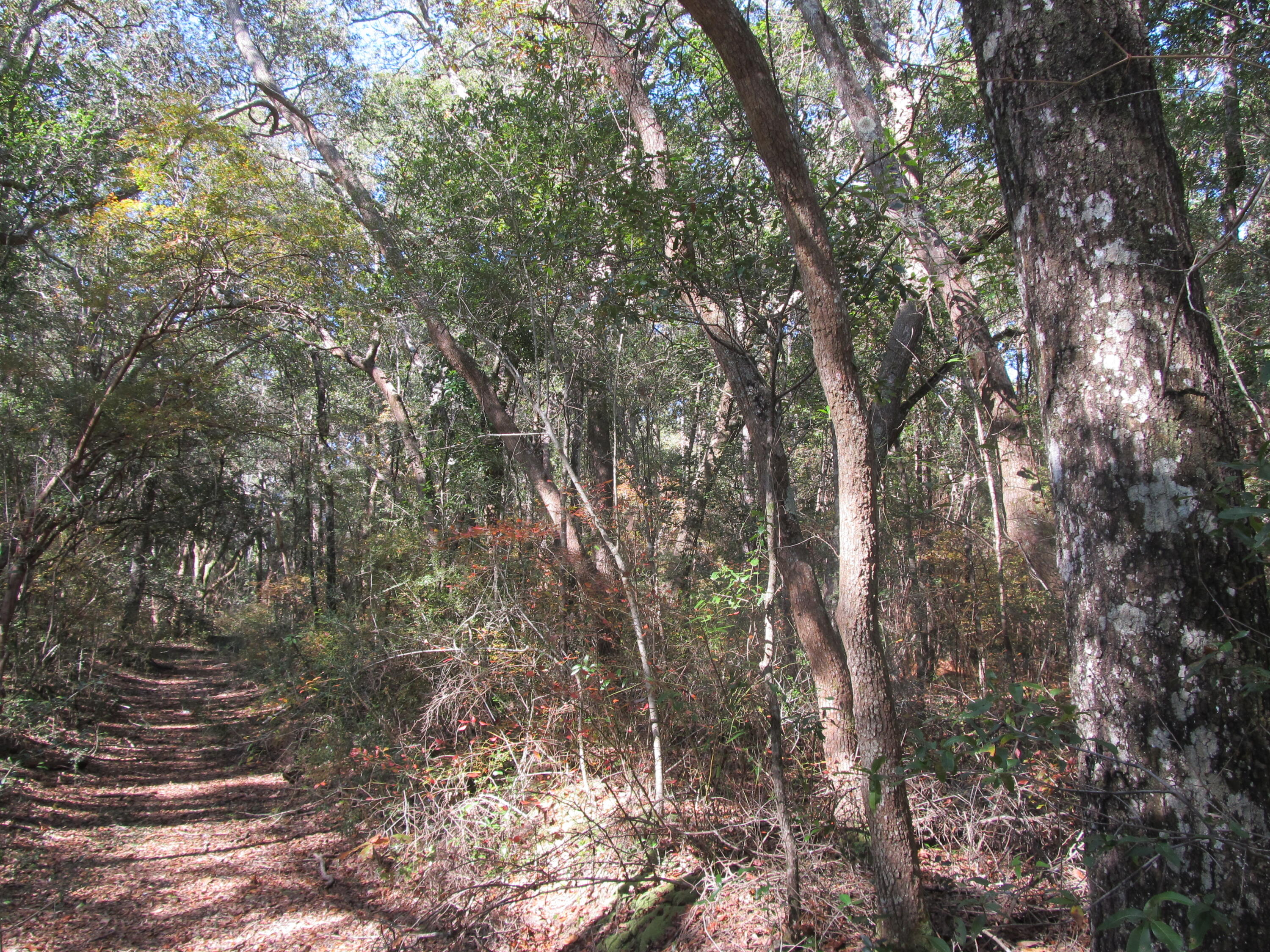 LAKEWOOD PLANTATIONS - Land