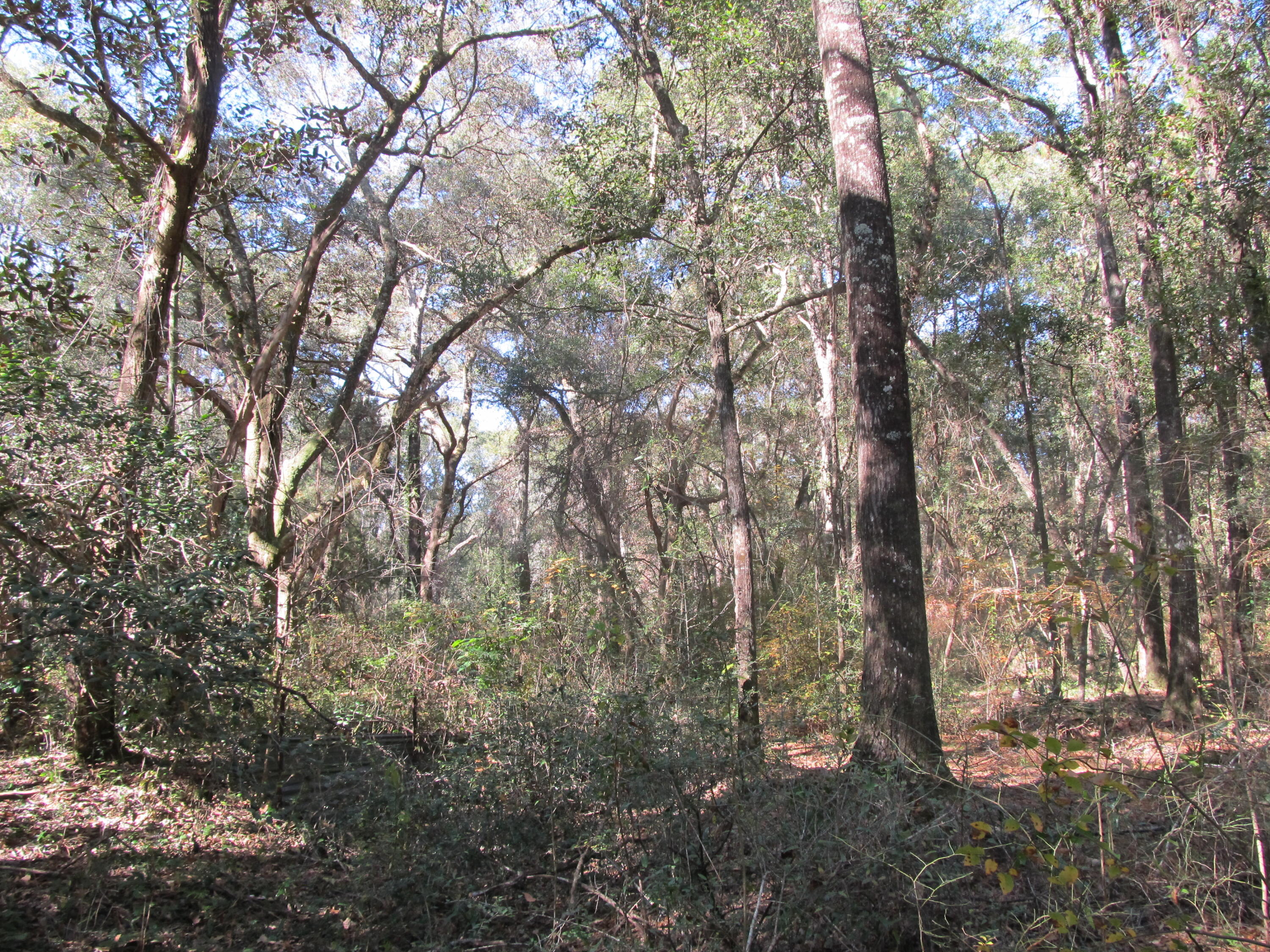 LAKEWOOD PLANTATIONS - Land