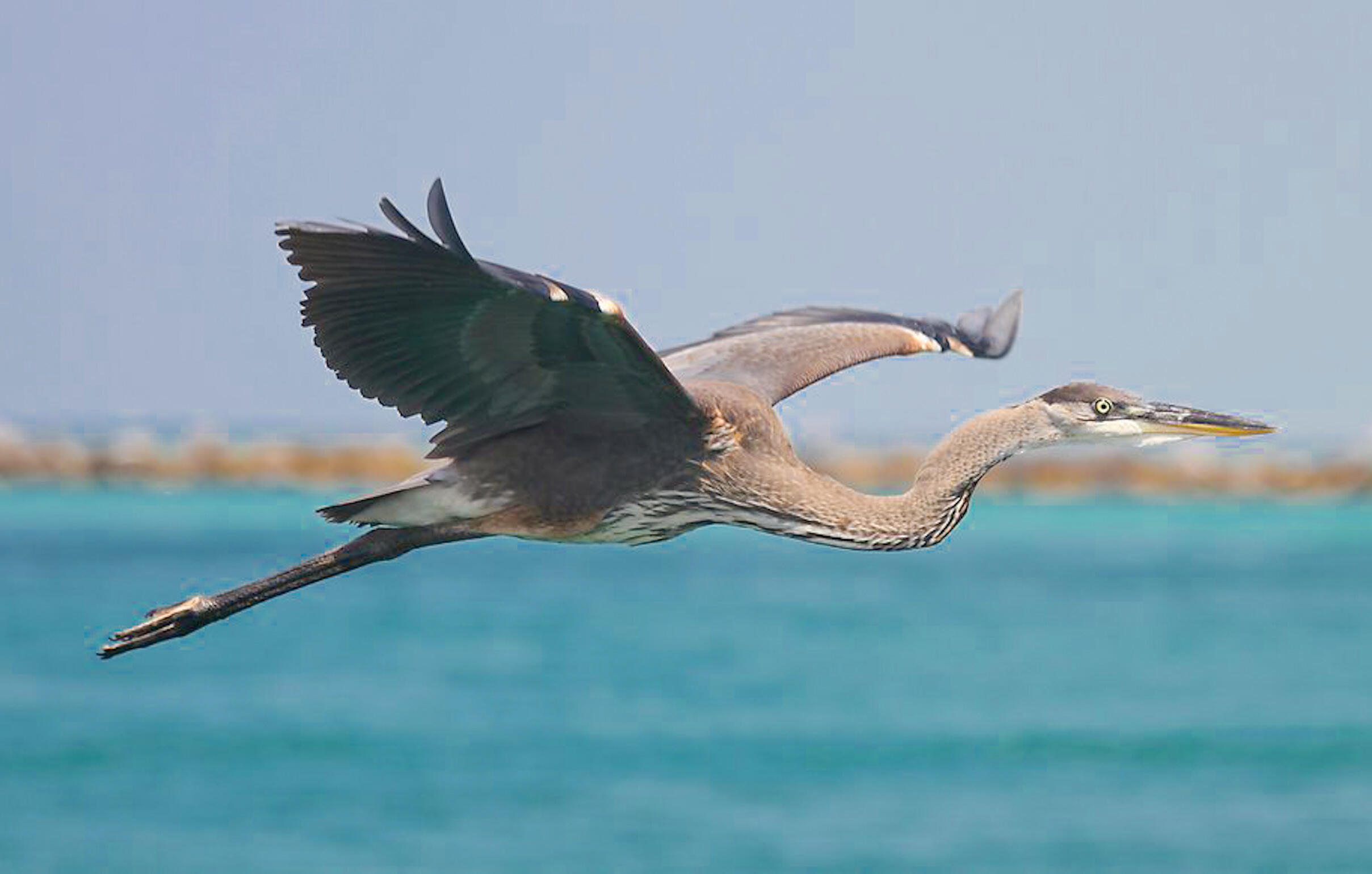 DESTINY EAST PH 2 - Residential