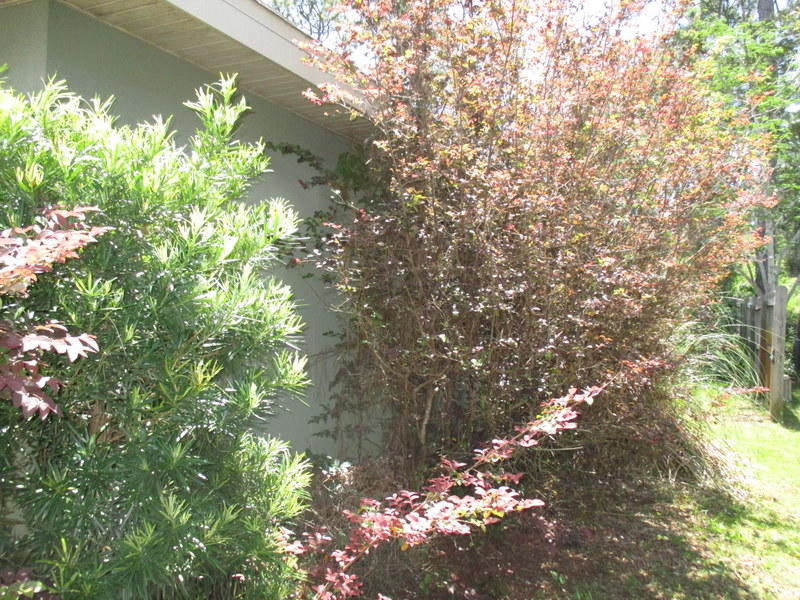 BAYOU BREEZE - Residential