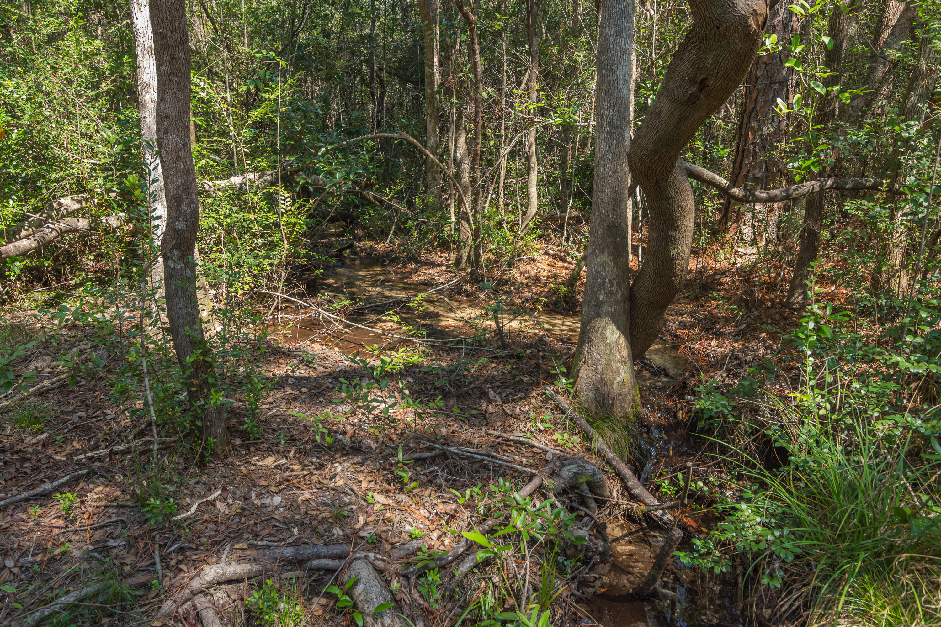 HIDDEN SPRINGS - Residential