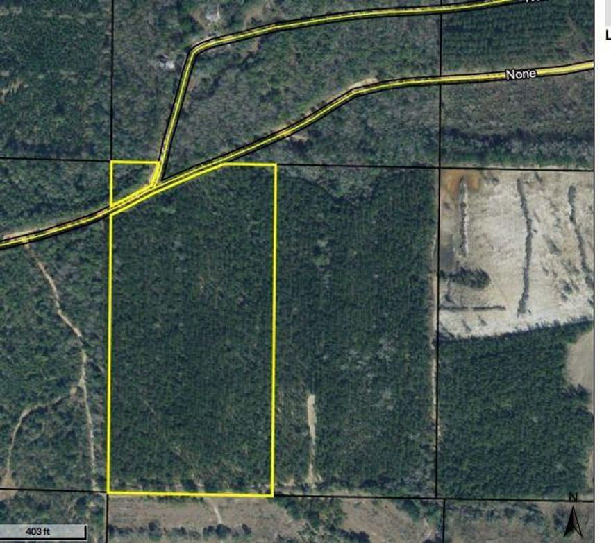 Vacant land fronting county maintained dirt road north of Ponce de Leon a short distance. Land appears to be high and dry. It is a mixture of pine and hardwoods. Well and septic are needed in this area. No improvements on land. Agent knows of no restrictions in subject area. Approximately one half acre on north side of Mitchell Rd and about 19.5 acres on south side.