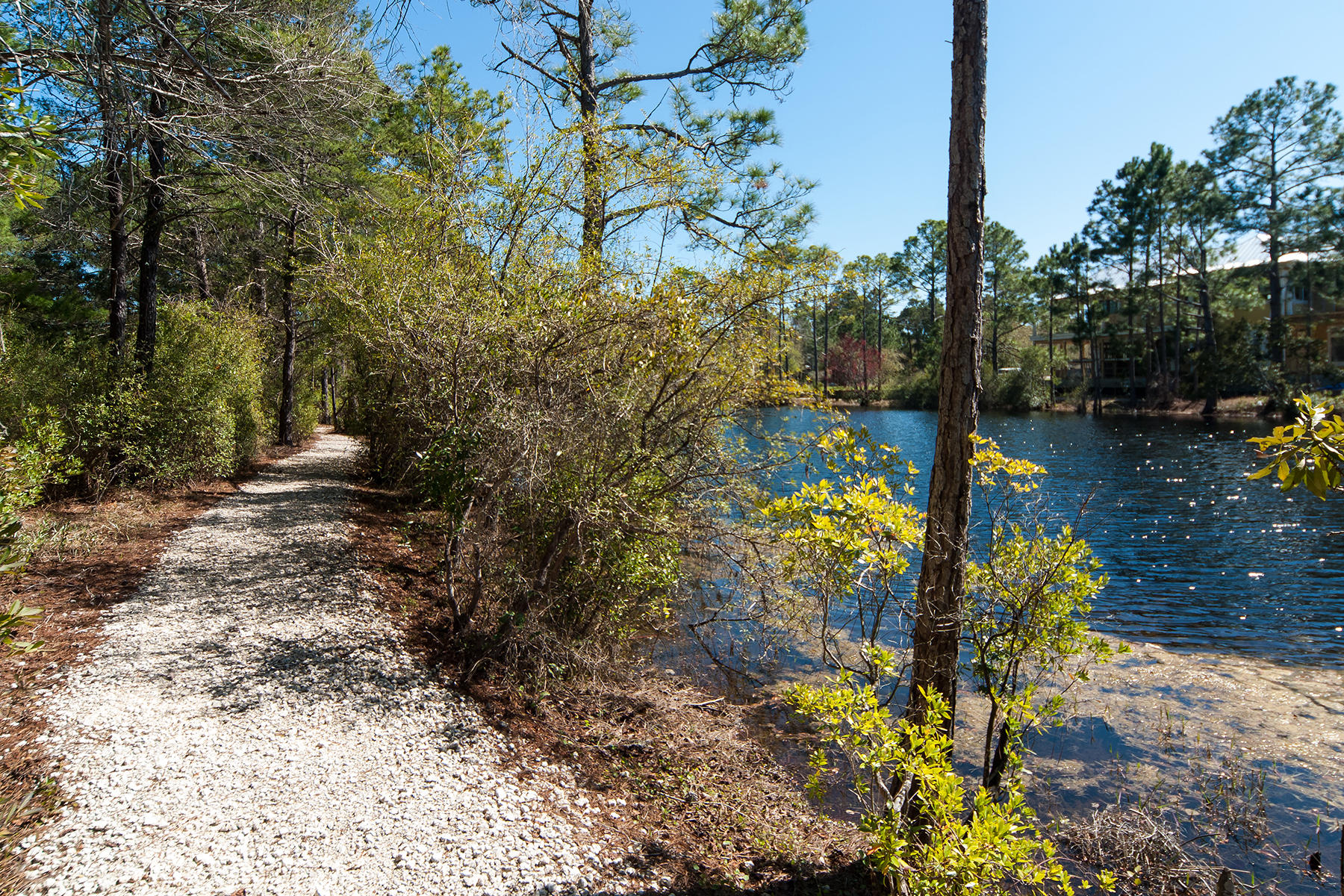 FOREST LAKES PH II - Land