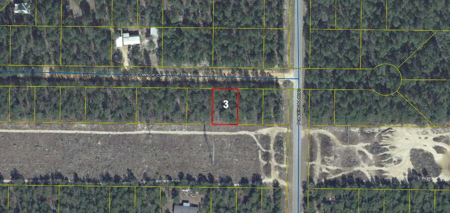 Wooded lot in the fast growing Mossy Head area, approximately 10 minutes from historic downtown DeFuniak Springs, voted the Best Small Town in Florida by MainStreet USA.