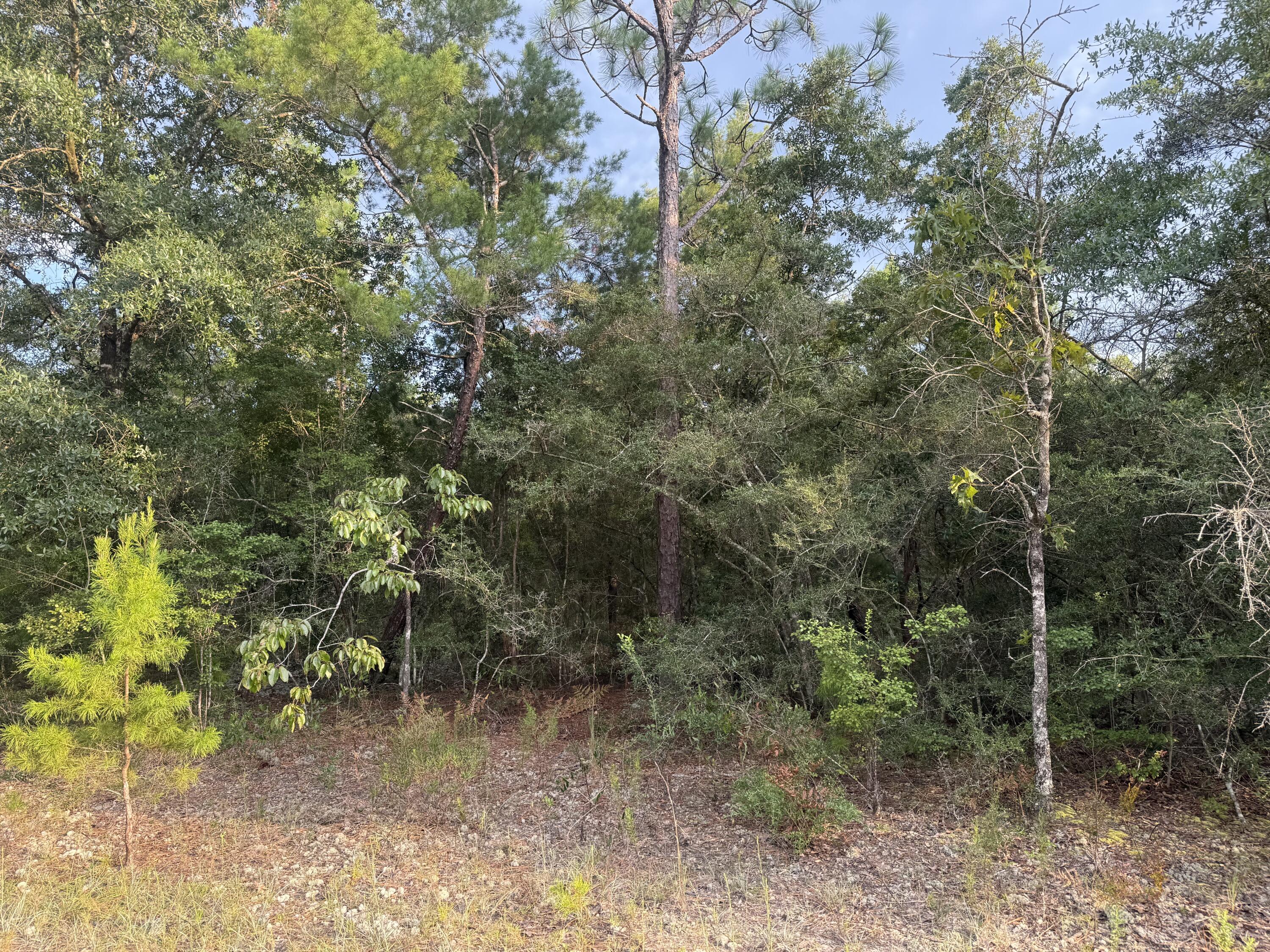 OAKWOOD HILLS UNIT 5 - Land
