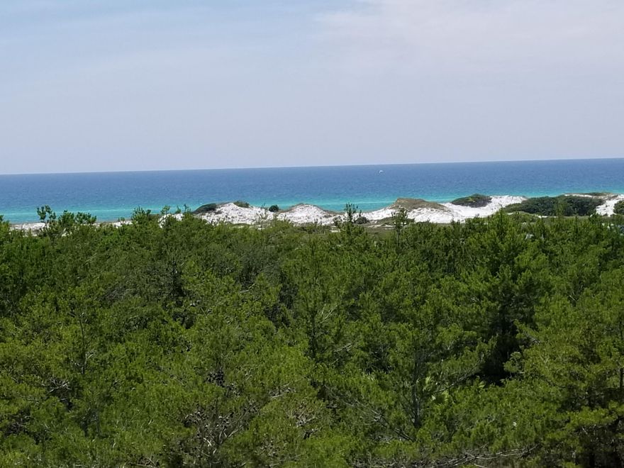 This beautiful 5 bedroom/5 bathroom home on the South side of 30A has been completely redecorated. This home sits on Topsail Hill State Park and has panoramic GULF VIEWS from the private 3rd floor Master Suite. It features 2 master suites with soaking tubs. Three additional large bedrooms and bathrooms complete this family home. There is an OPEN FLOOR PLAN living/dining/kitchen for family gatherings and entertaining. This home features 4 porches to enjoy the nature that the community of Cypress Dunes offers. You are steps away from a world class amenities center which features an infinity edge pool with a hot tub over looking the beautiful Emerald waters of the Gulf. There is a workout facility, rest rooms with showers, a fireplace and a club house for sports watching and social events.