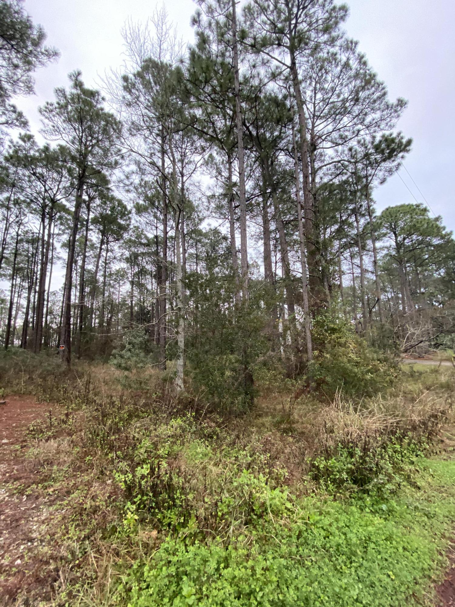 UNRECORDED SUBDIVISION - Land